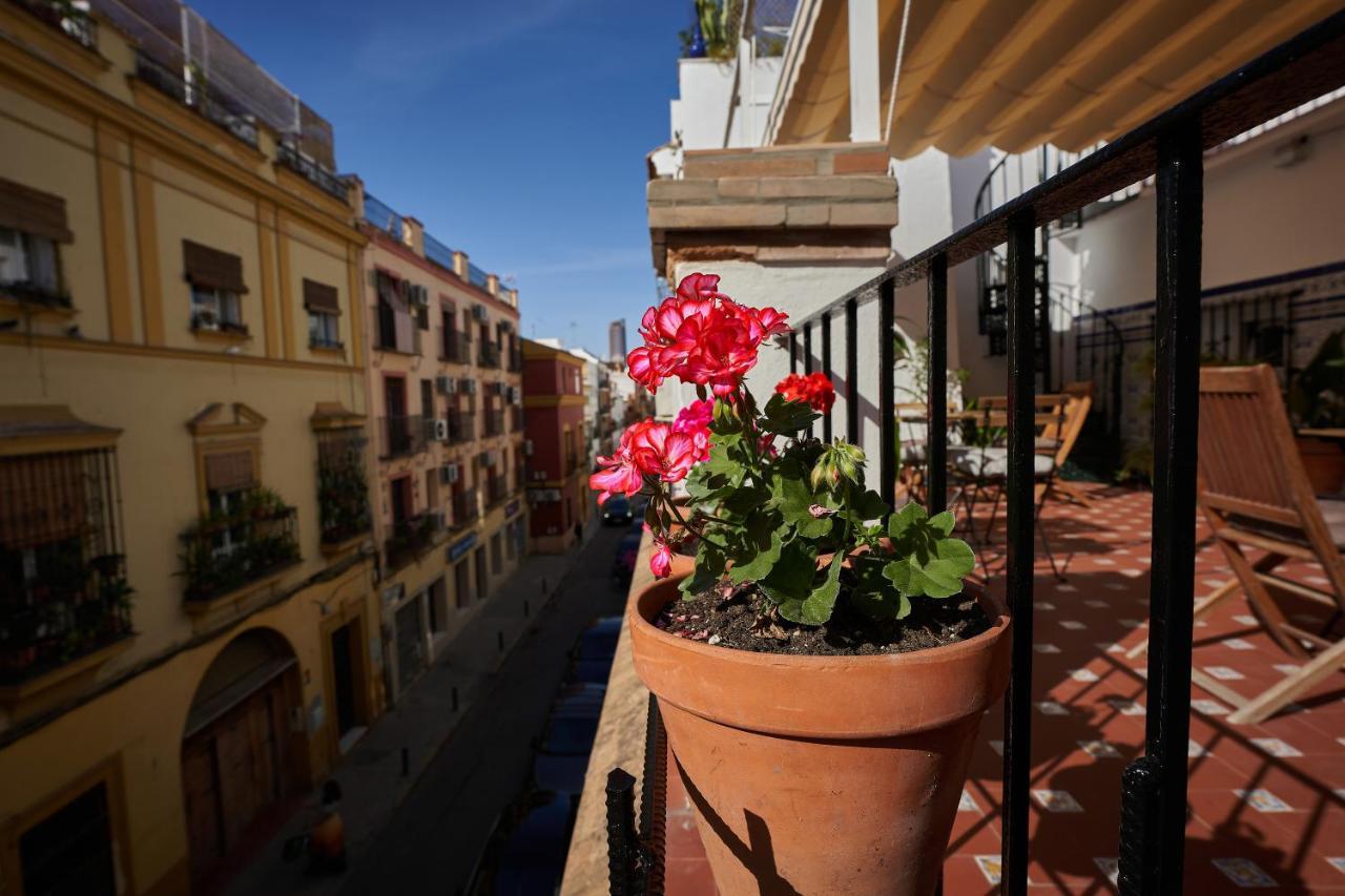 Casa Pureza Pensjonat *